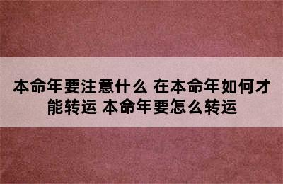 本命年要注意什么 在本命年如何才能转运 本命年要怎么转运